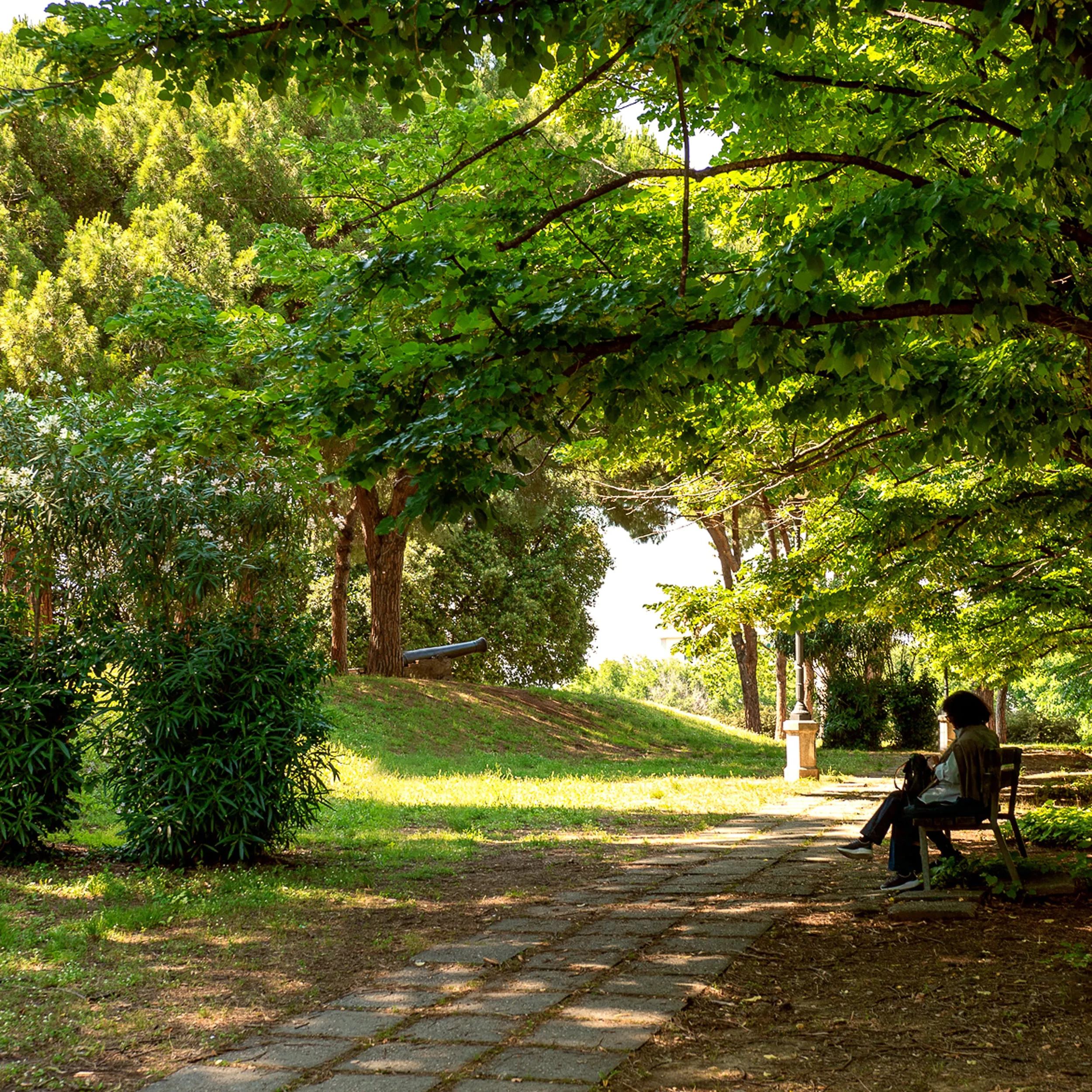 Botanical Park